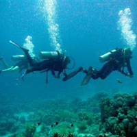 Scuba Diving