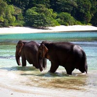 Andaman and Nicobar Islands