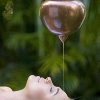 Kerala Ayurveda & Spa