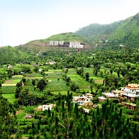 Solan