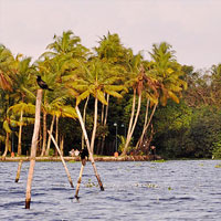 Vembanad lake