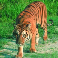 Nameri National Park