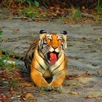 Periyar Tiger Reserve