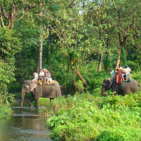 Mahananda Wildlife Sanctuary