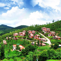 Ooty