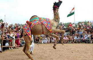 Pushkar Fair Tour with Golden Triangle