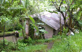 yoga and meditation in south india