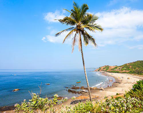Goa Beaches Tour