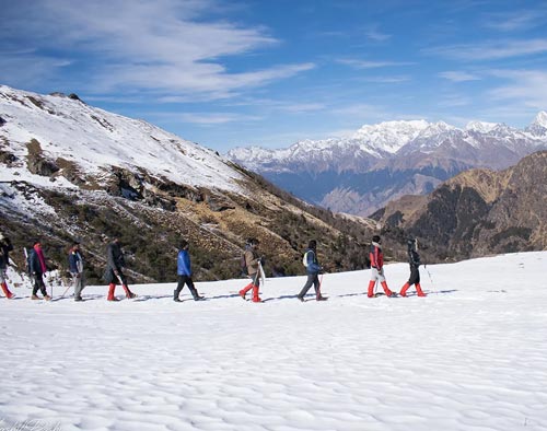 Kuari Pass Trek in Garhwal Himalayas