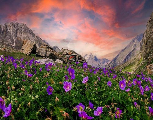 Valley of Flowers - Hemkund Sahib
